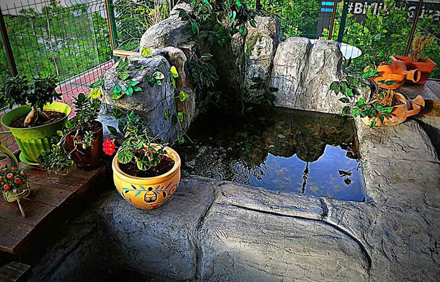 Salsa Ankara Dans Akademisi - Ankara Salsa